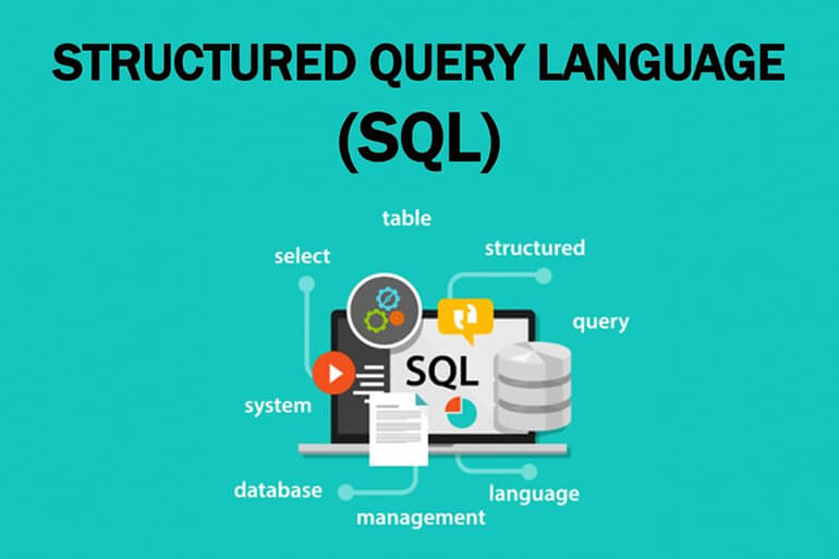 SQL là Structured Query Language